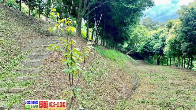 新竹新埔農地-10