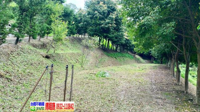 新竹新埔農地-11