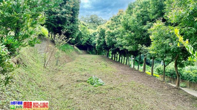 新竹新埔農地-5