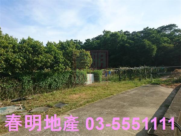 香山農地-4