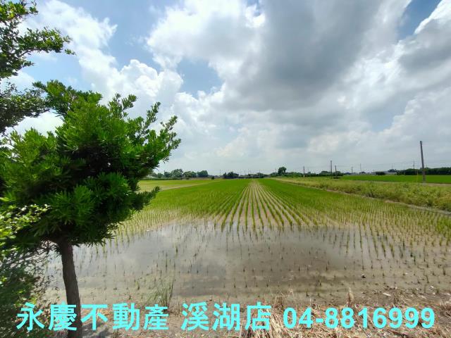 彰化埤頭農地-7