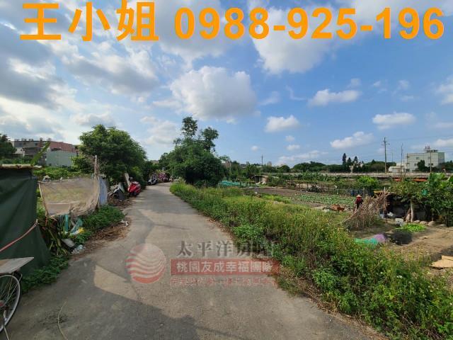 桃園平鎮農地-2