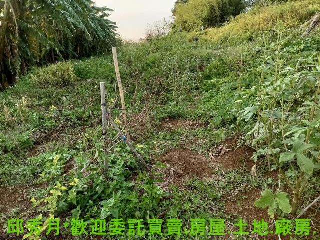 淡水農地-5