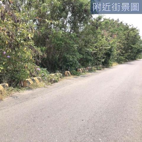 安南農地-0