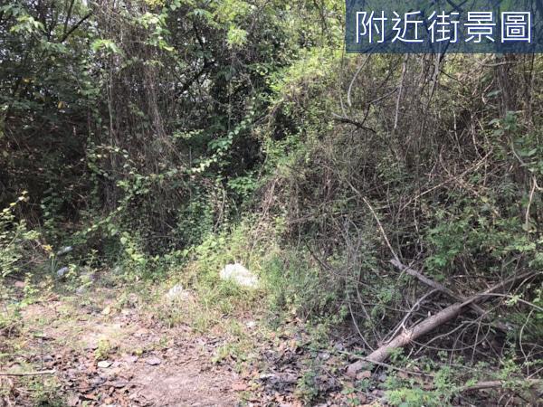 安南農地-2