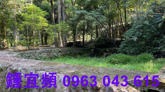 南庄農地_山坡地_休閒地-11
