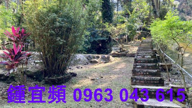 南庄農地_山坡地_休閒地-12
