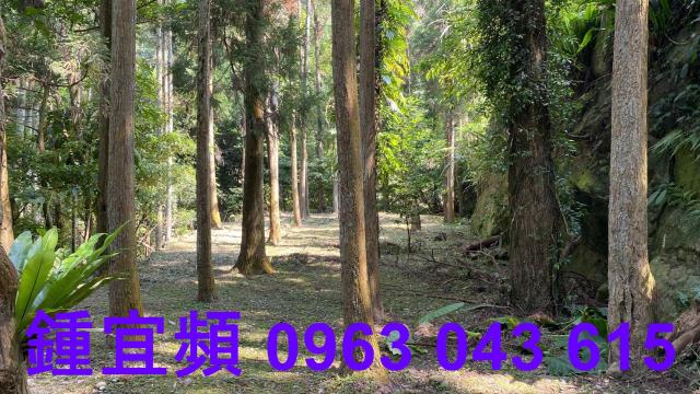 南庄農地_山坡地_休閒地-13