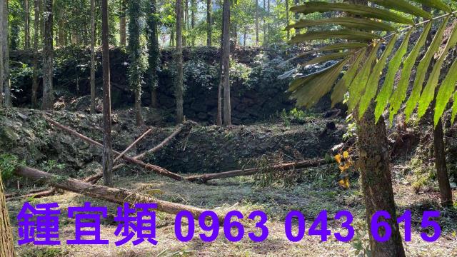 南庄農地_山坡地_休閒地-14