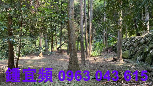 南庄農地_山坡地_休閒地-15
