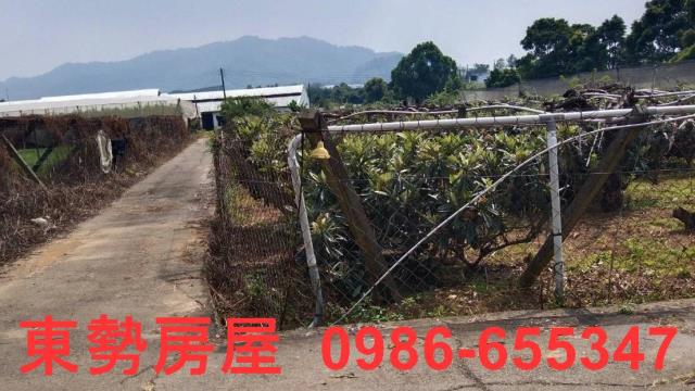 台中新社農地-3