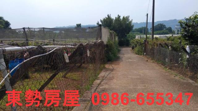 台中新社農地-4