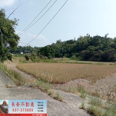 苗栗農地-2