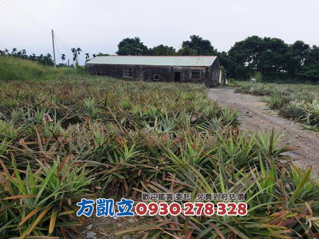 內埔農地_農舍-3