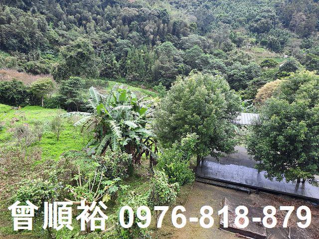 新竹尖石農地-13