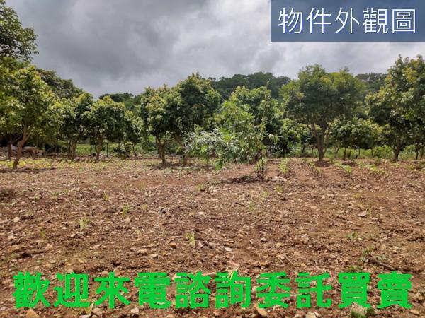 新北三芝農地-3