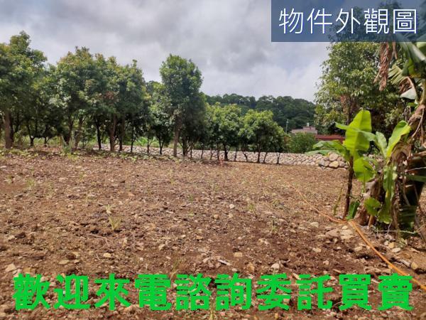 新北三芝農地-5