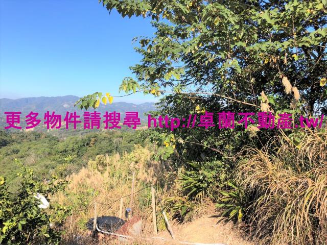 苗栗卓蘭農地_山坡地-2