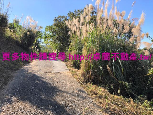 苗栗卓蘭農地_山坡地-7