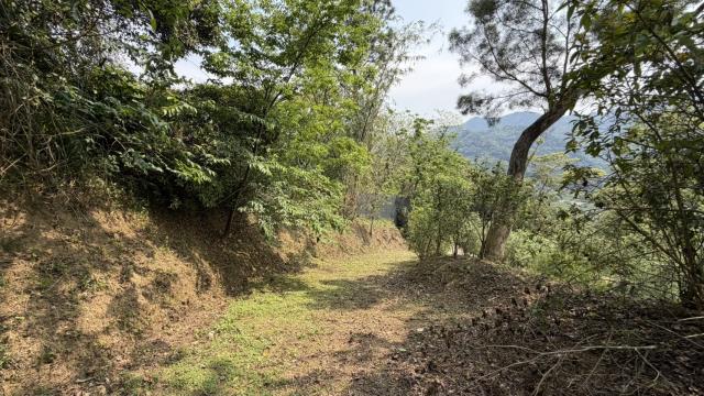 新竹北埔農地-8