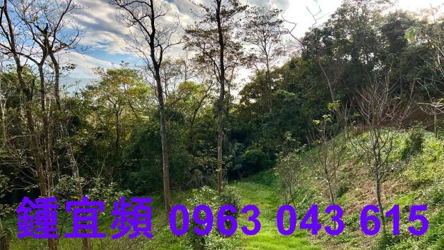 新竹北埔農地-11