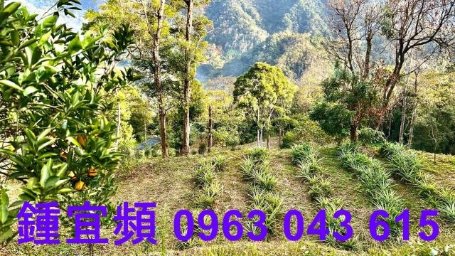 新竹北埔農地-4