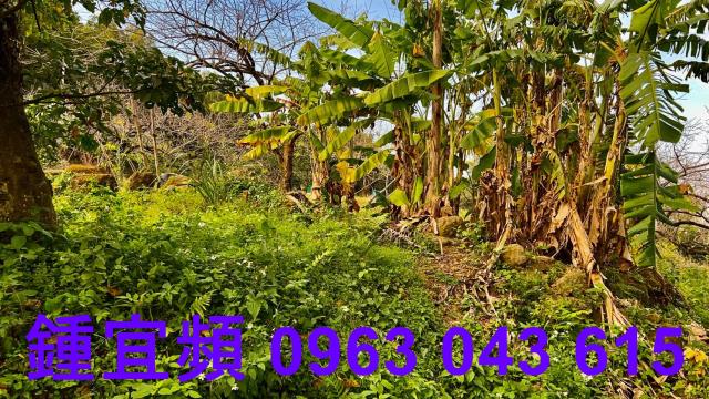 新竹北埔農地-6