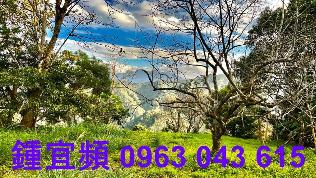 新竹北埔農地-9