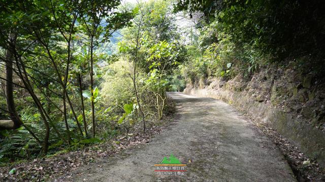 南庄農地_林地-12