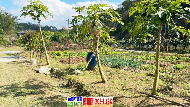 北埔農地_林地-11