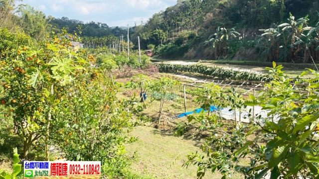 北埔農地_林地-12
