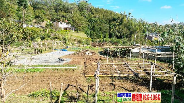 北埔農地_林地-14