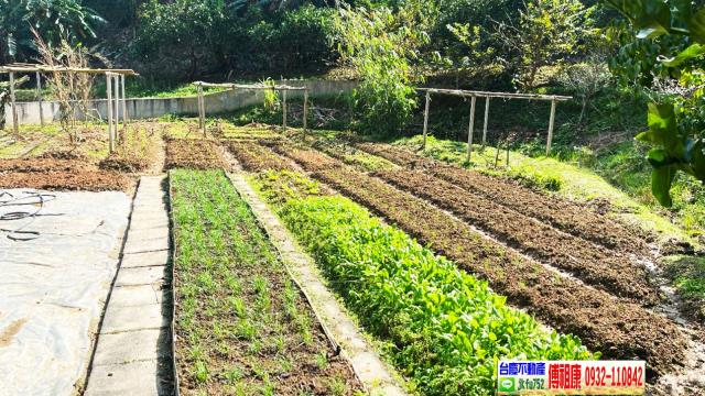 北埔農地_林地-15