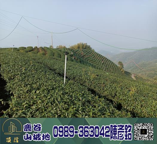 南投鹿谷工業地_休閒地_林地-10