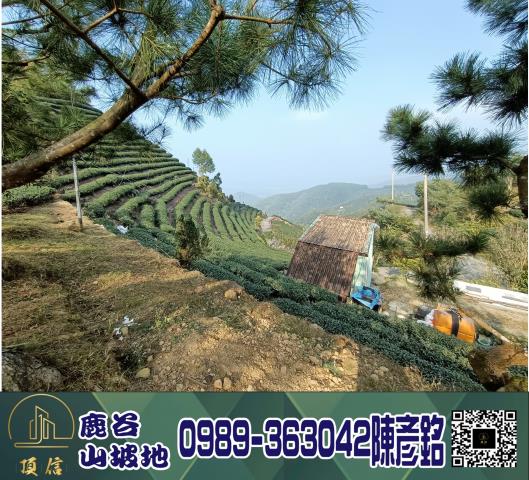 南投鹿谷工業地_休閒地_林地-1