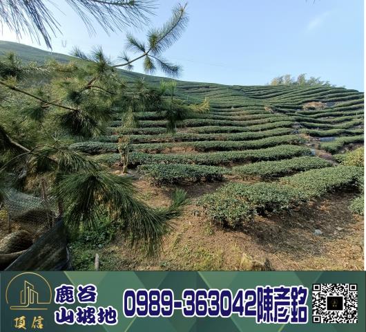 南投鹿谷工業地_休閒地_林地-2