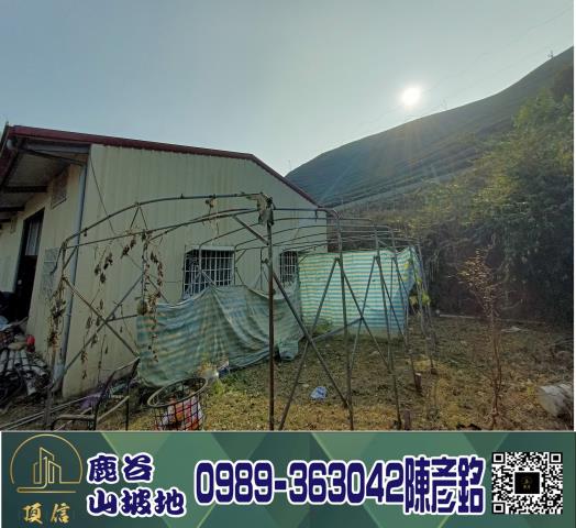 南投鹿谷工業地_休閒地_林地-3