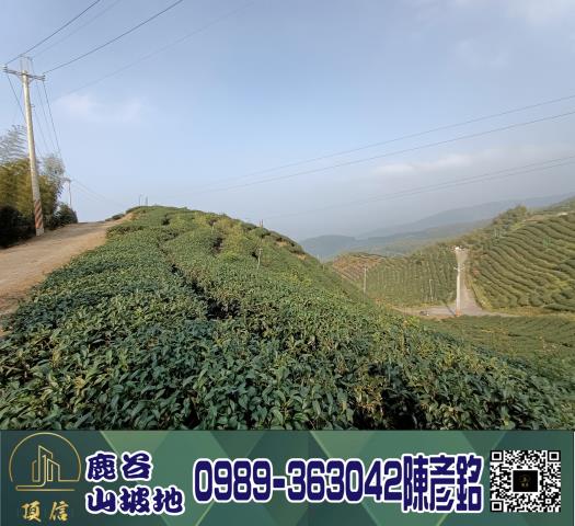 南投鹿谷工業地_休閒地_林地-8