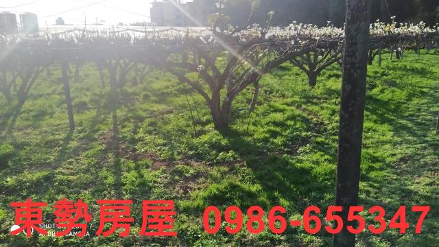 東勢農地_休閒地-1
