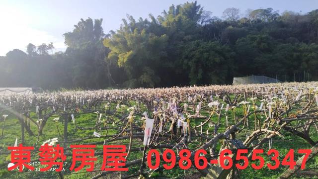 東勢農地_休閒地-2
