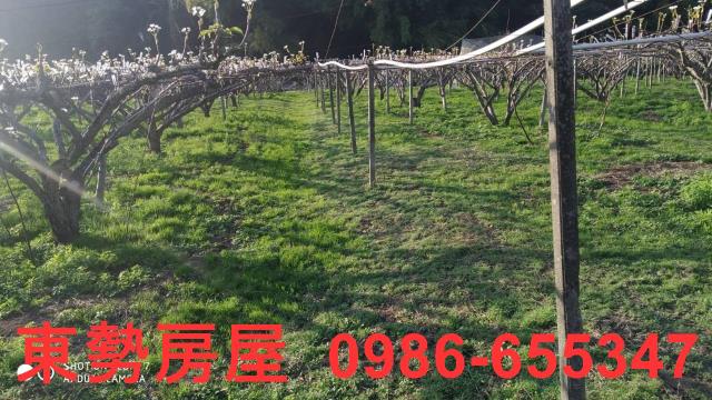 東勢農地_休閒地-3