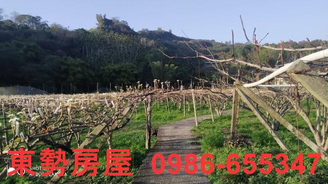 東勢農地_休閒地-4