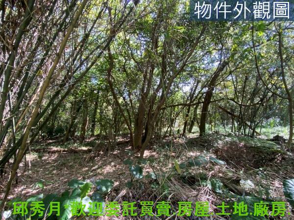 新北淡水農地-3