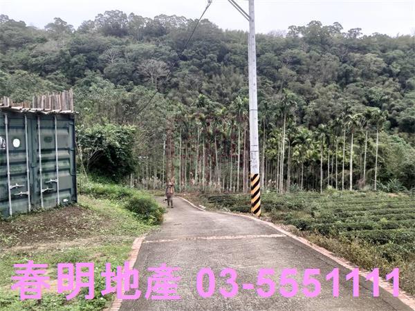 峨眉農地_林地-1