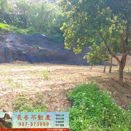 造橋山坡地_休閒地-1