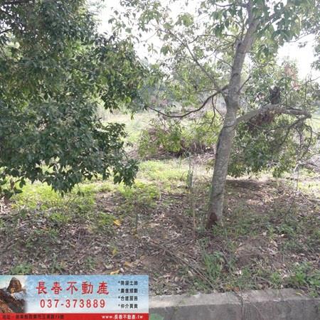 造橋山坡地_休閒地-2