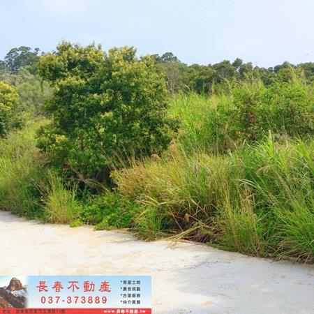 造橋山坡地_休閒地-3