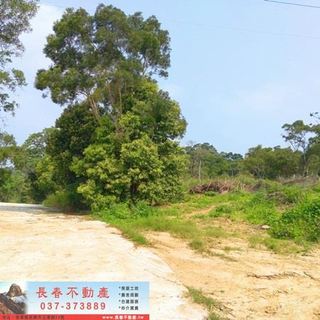 造橋山坡地_休閒地-5