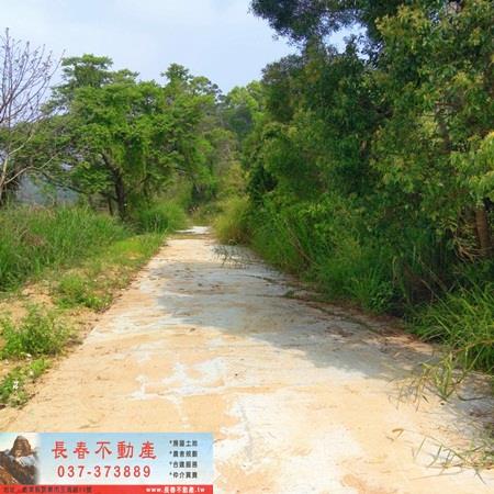 造橋山坡地_休閒地-6
