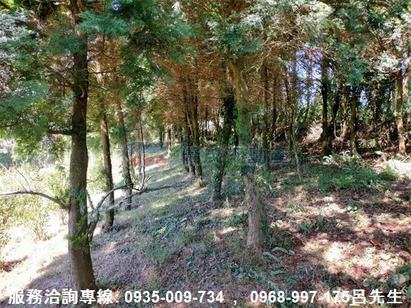 苗栗銅鑼農地-2